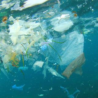 Ocean with plastic wallpaper