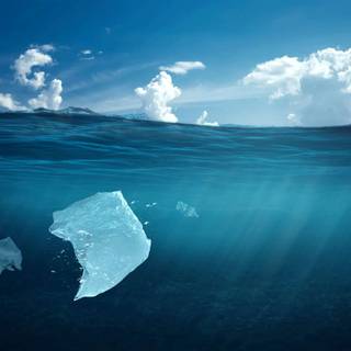 Ocean with plastic wallpaper