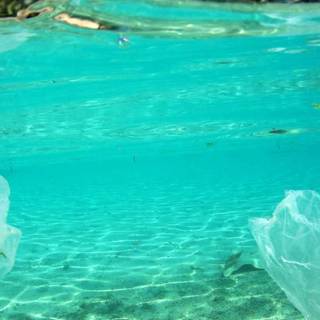 Ocean with plastic wallpaper