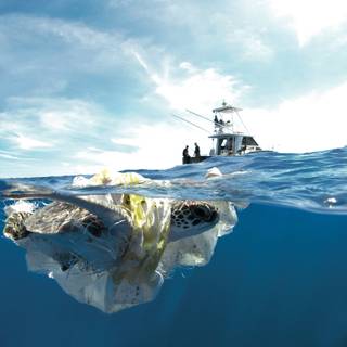 Ocean with plastic wallpaper