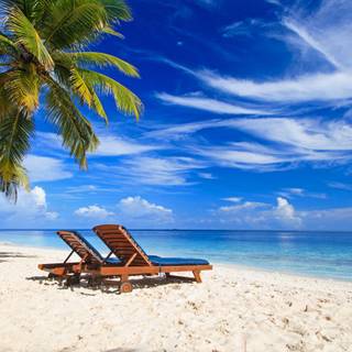 Beach 4k HD wallpaper