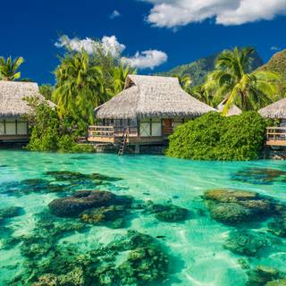 Beach 4k HD wallpaper