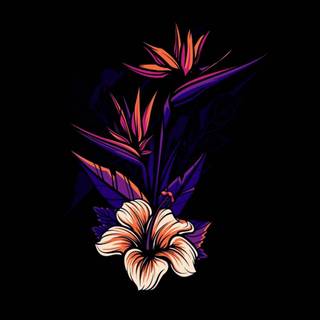 Graphic phone wallpaper