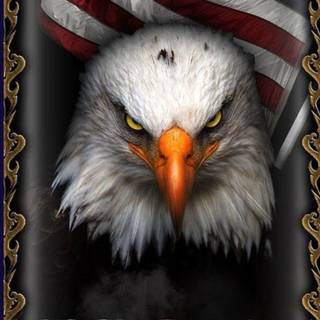 USA flag phone wallpaper