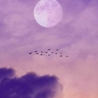 Aesthetic sky phone wallpaper