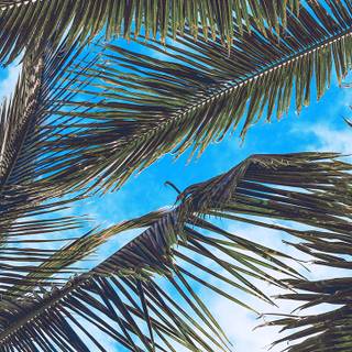 Aesthetic sky phone wallpaper