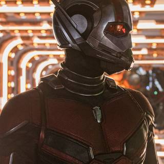 Ant-Man and The Wasp iPhone wallpaper