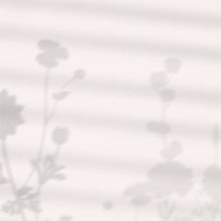 Black and white aesthetic phone wallpaper