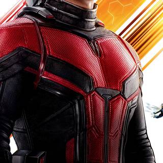 Ant-Man and The Wasp iPhone wallpaper