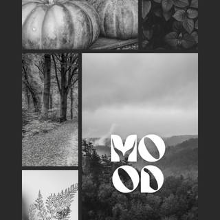 Black and white aesthetic phone wallpaper