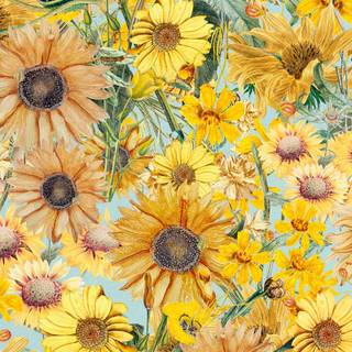 Yellow spring calm wallpaper