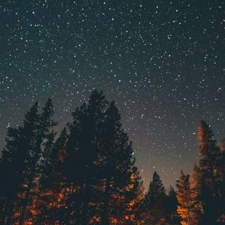 Night aesthetic phone wallpaper