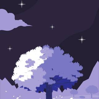 Night aesthetic phone wallpaper