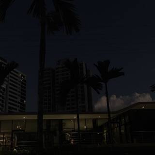 Night aesthetic phone wallpaper