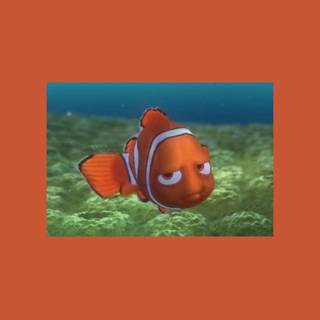 Nemo phone wallpaper