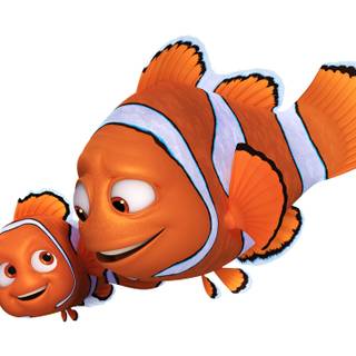 Finding Nemo desktop wallpaper