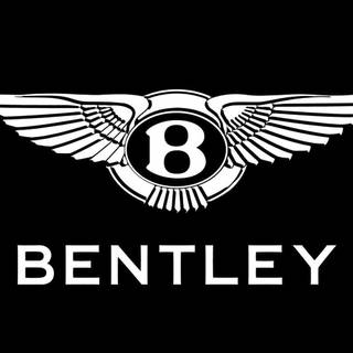 All cars logo wallpaper