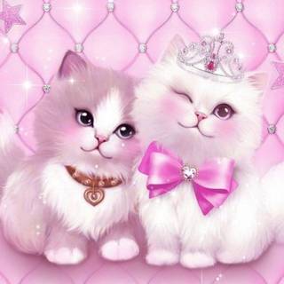 Two pink kittens wallpaper