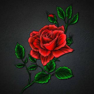 Rose painting wallpaper