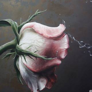 Rose painting wallpaper