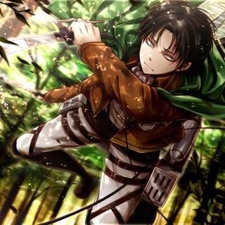 Levi laptop wallpaper