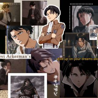 Levi laptop wallpaper