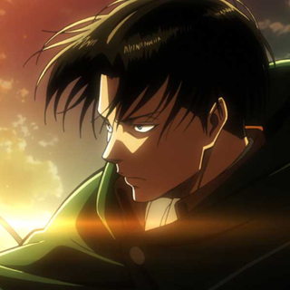 Levi laptop wallpaper