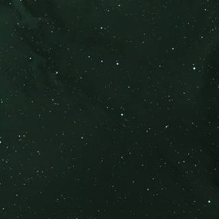 Navy green wallpaper