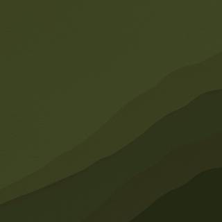 Navy green wallpaper