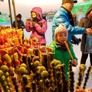 Food festival wallpaper