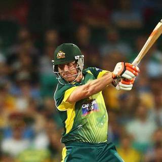 Cricket PC wallpaper