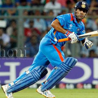 Cricket PC wallpaper