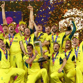 Cricket PC wallpaper