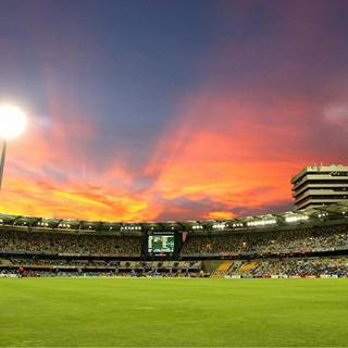 Cricket PC wallpaper