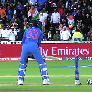 Cricket PC wallpaper