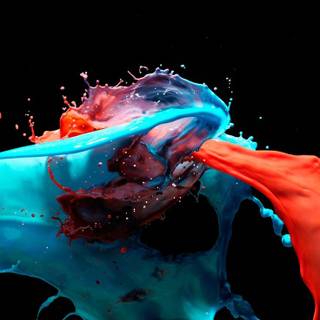 Splash of color wallpaper