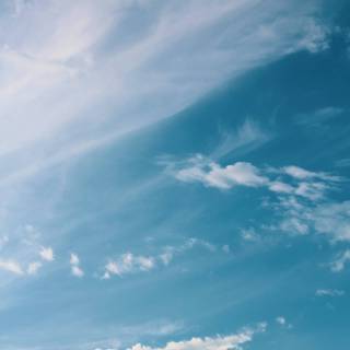 iPhone 6 Plus HD 4k wallpaper