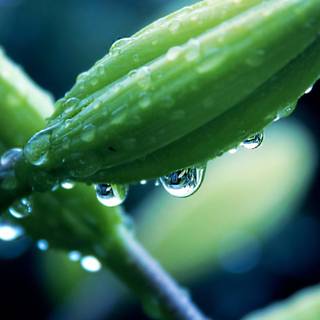 iPhone 6 Plus HD 4k wallpaper