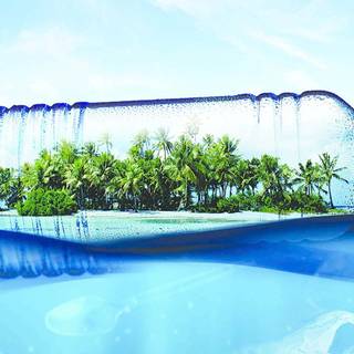 Plastic bottle wallpaper