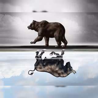 Bulls vs bears wallpaper