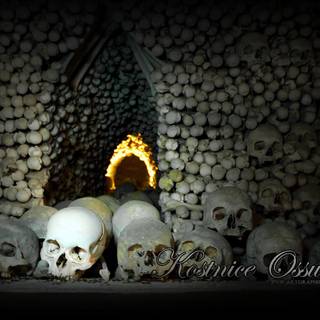 Gothic skulls desktop wallpaper