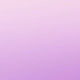Violet gradient wallpaper