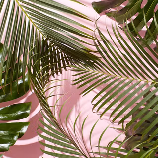 Summer aesthetic preppy desktop wallpaper