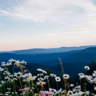 Spring mountain 4k wallpaper