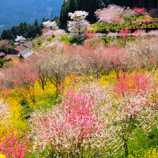 Spring mountain iPhone wallpaper