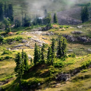 Spring mountain iPhone wallpaper