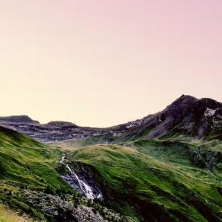 Meadow phone wallpaper