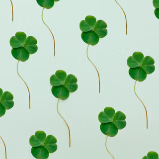 Happy St Patricks Day 2024 wallpaper