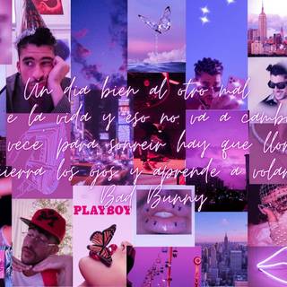 Bad Bunny pink desktop wallpaper