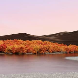 iPhone landscape wallpaper